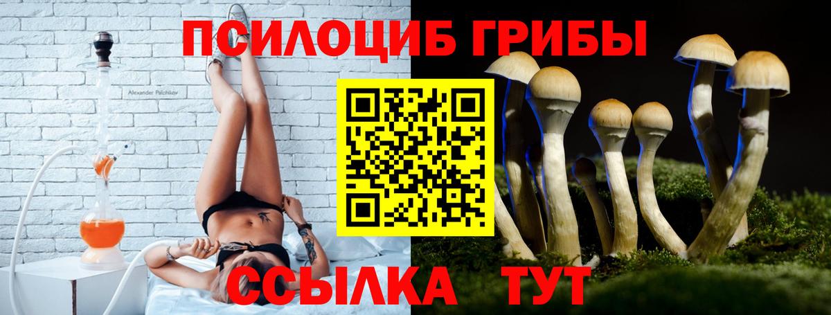 Галлюциногенные грибы мицелий Усть-Илимск