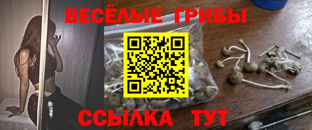 Усть-Илимск  Галлюциногенные грибы MAGIC MUSHROOMS  как найти   Вход с VPN  Псилоцибиновые грибы прущие грибы 